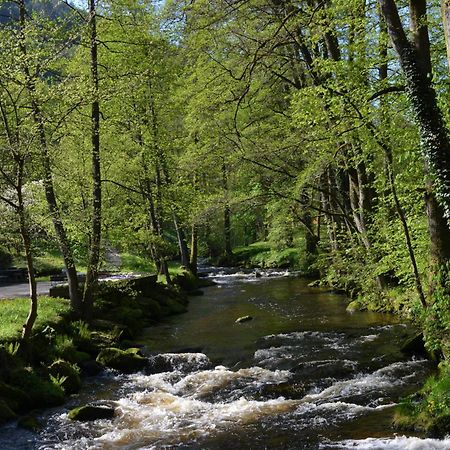 巴特维尔德巴德Wildbad Luft公寓 外观 照片
