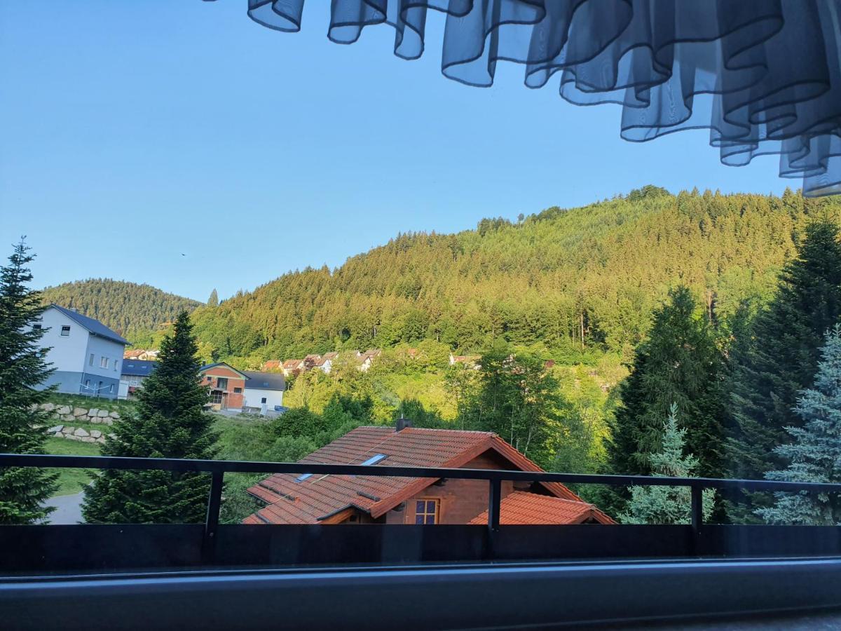 巴特维尔德巴德Wildbad Luft公寓 外观 照片