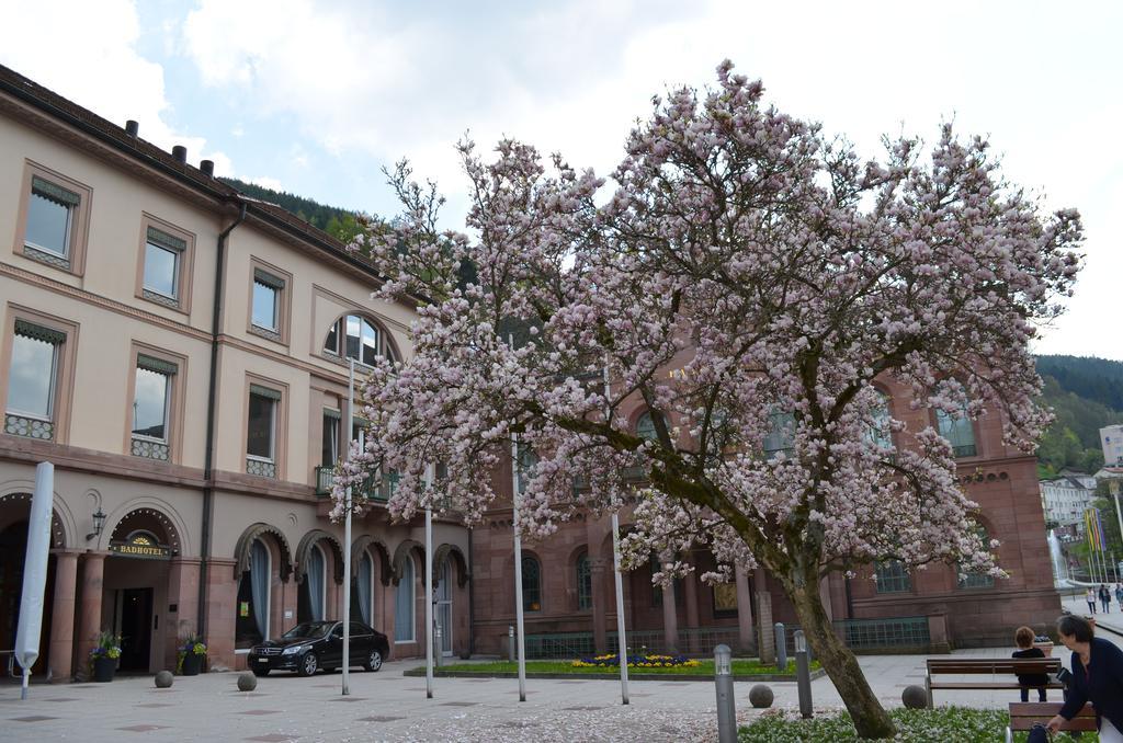 巴特维尔德巴德Wildbad Luft公寓 外观 照片