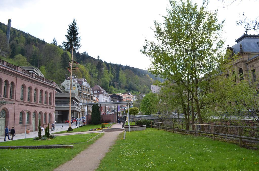 巴特维尔德巴德Wildbad Luft公寓 外观 照片