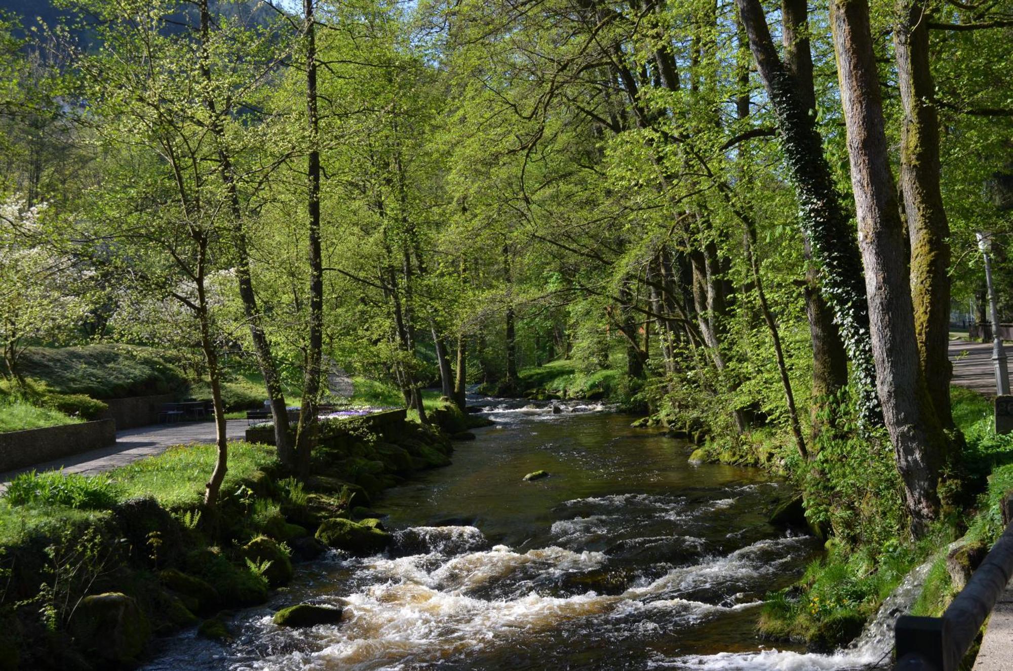 巴特维尔德巴德Wildbad Luft公寓 外观 照片