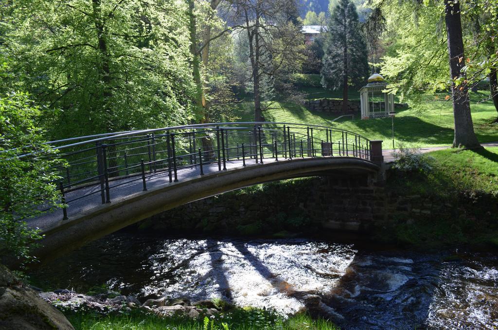 巴特维尔德巴德Wildbad Luft公寓 外观 照片