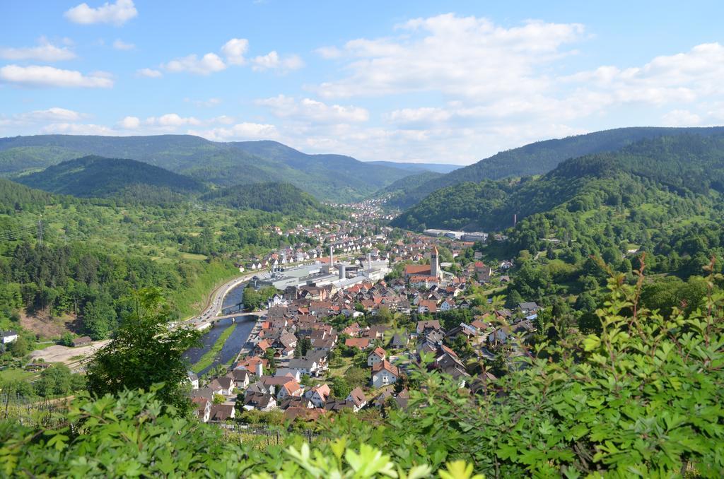 巴特维尔德巴德Wildbad Luft公寓 外观 照片