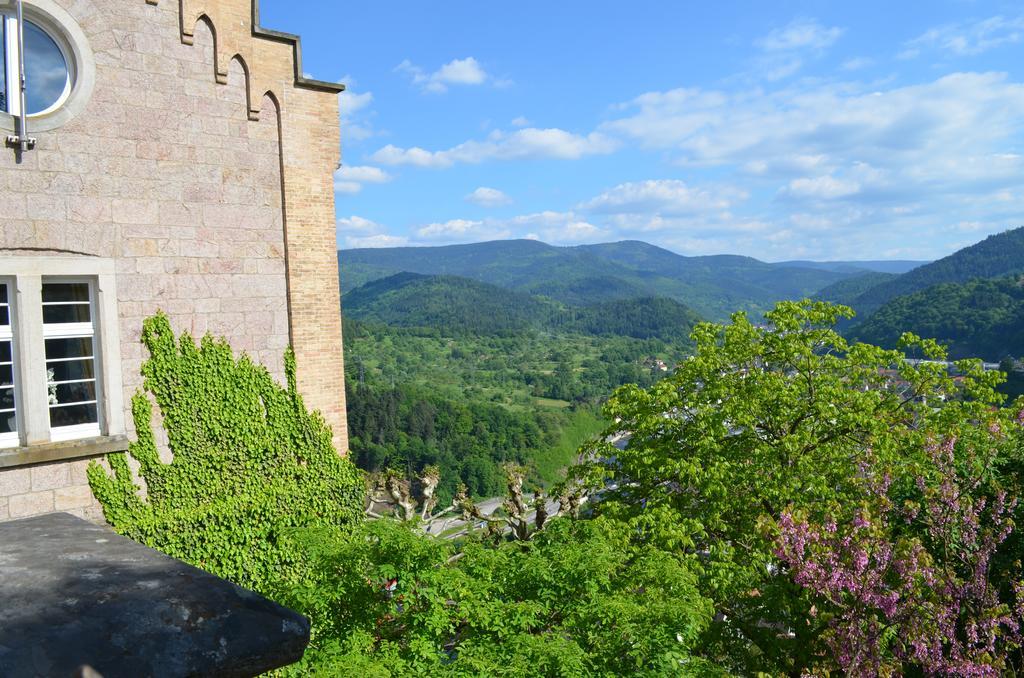 巴特维尔德巴德Wildbad Luft公寓 外观 照片